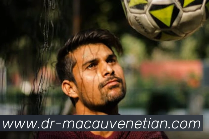 App Interface Preview